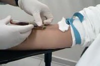 /album/ibop-laboratorio-/download-2-jpg/